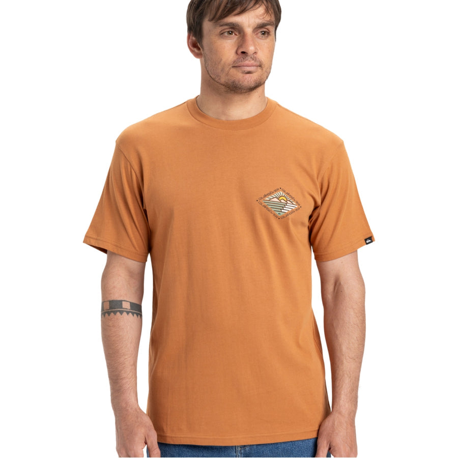 Quiksilver Future Islands T-Shirt in Bran