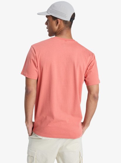 Quiksilver EV Mini Logo T-Shirt in Desert Sand