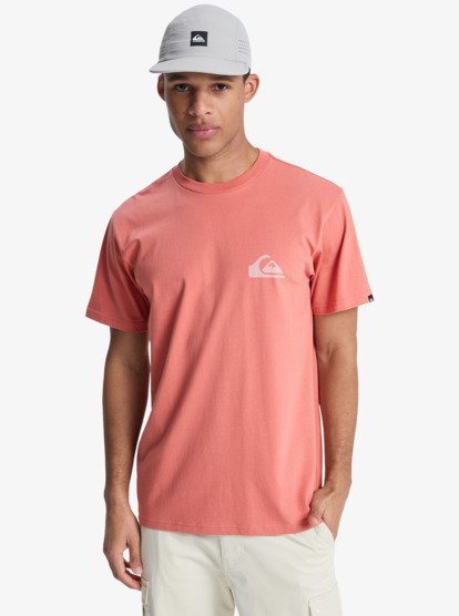 Quiksilver EV Mini Logo T-Shirt in Desert Sand
