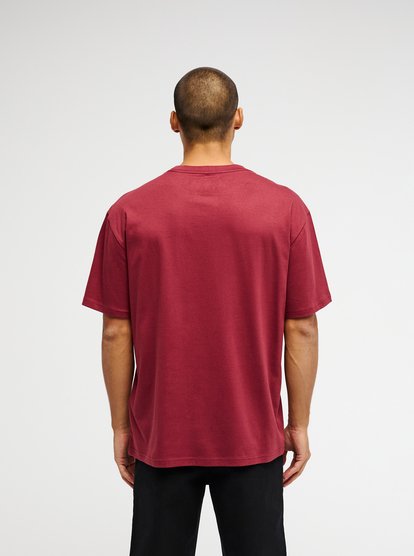 Quiksilver Salt Water T-Shirt in Oxblood Red