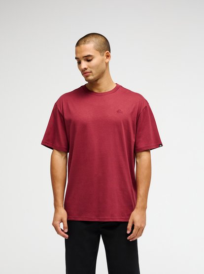 Quiksilver Salt Water T-Shirt in Oxblood Red