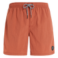 Protest Faster Swim Shorts in Clay