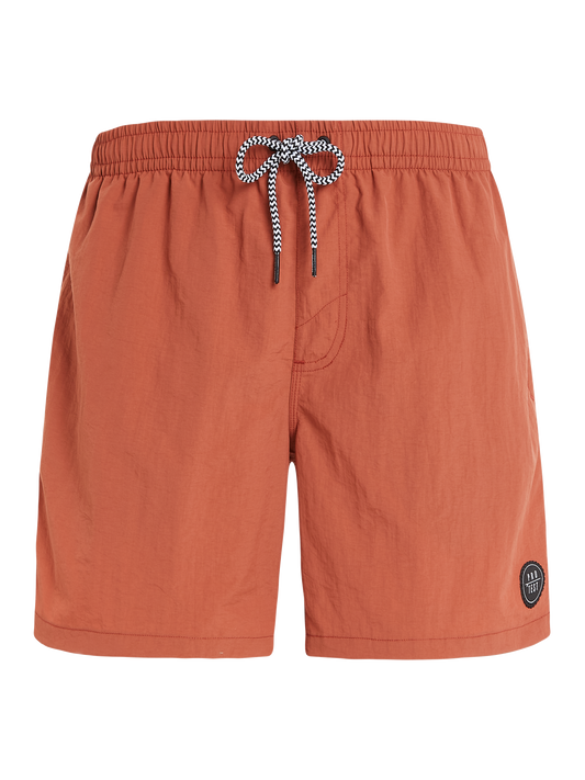 Protest Faster Swim Shorts in Clay