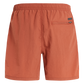 Protest Faster Swim Shorts in Clay