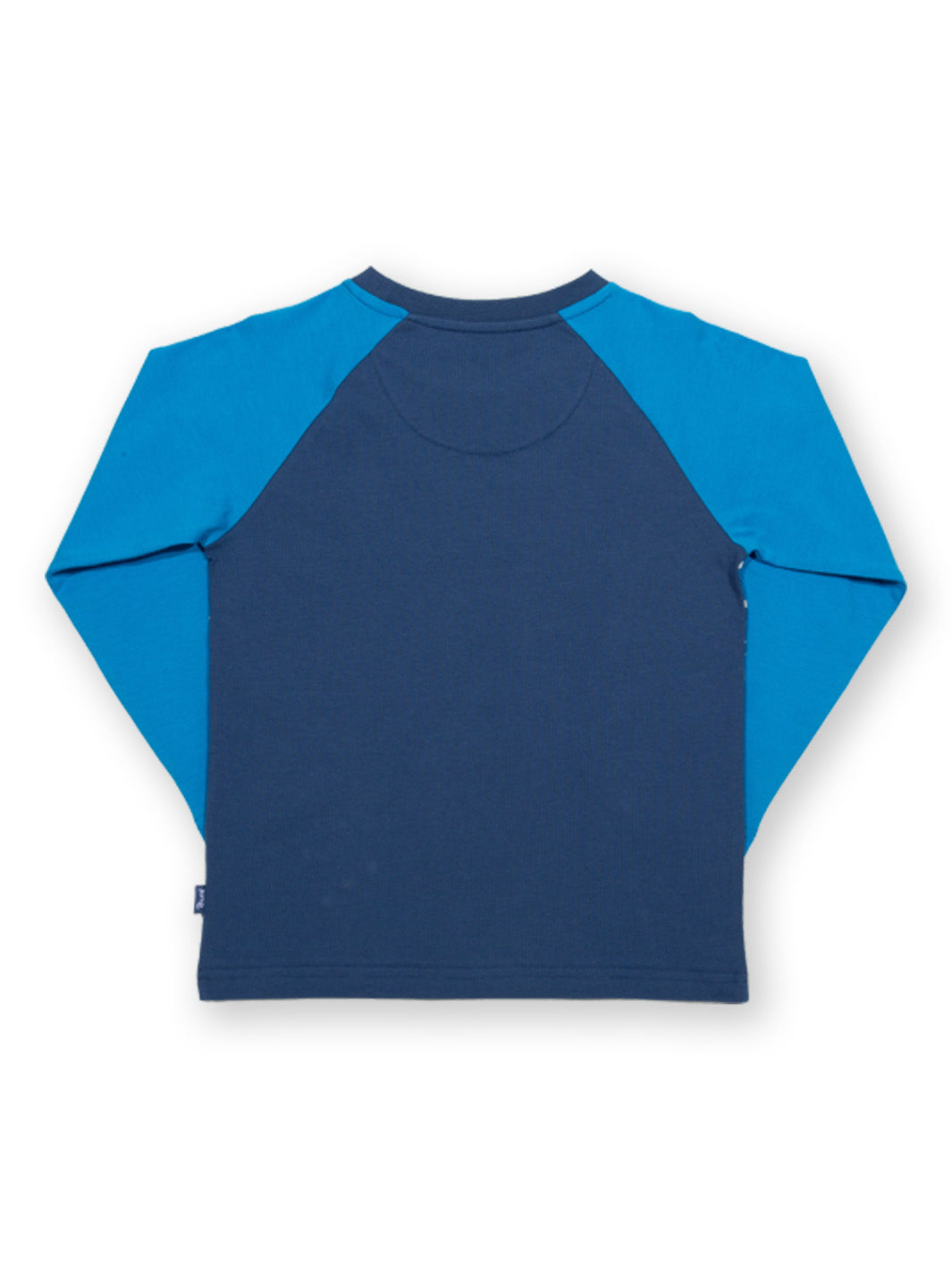 Kite Sealife T-Shirt