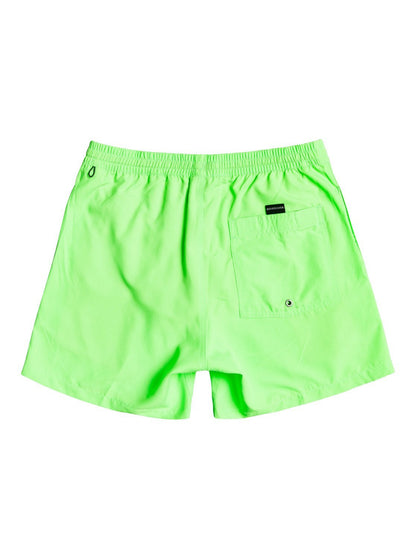 Quiksilver Everyday 13" Swim Shorts in Green