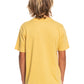 Quiksilver Feeding Line Boys Tee in Rattan