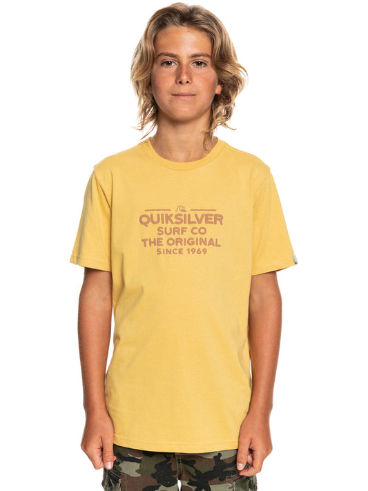 Quiksilver Feeding Line Boys Tee in Rattan