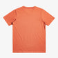 Quiksilver In Circles T-Shirt in Mecca Orange