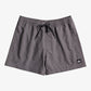 Quiksilver Everyday Deluxe 15" Swim Shorts in Iron Gate