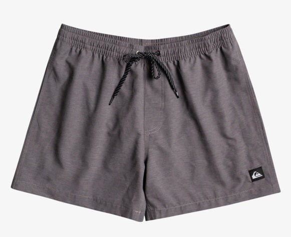 Quiksilver Everyday Deluxe 15" Swim Shorts in Iron Gate