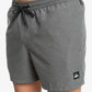 Quiksilver Everyday Deluxe 15" Swim Shorts in Iron Gate
