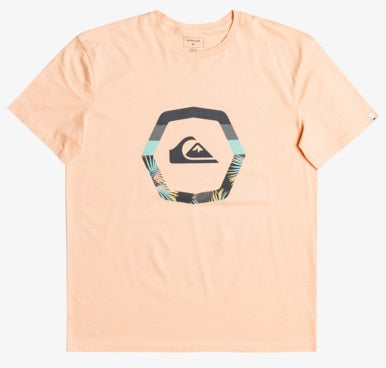 Quiksilver Uprise T-Shirt in Apricot