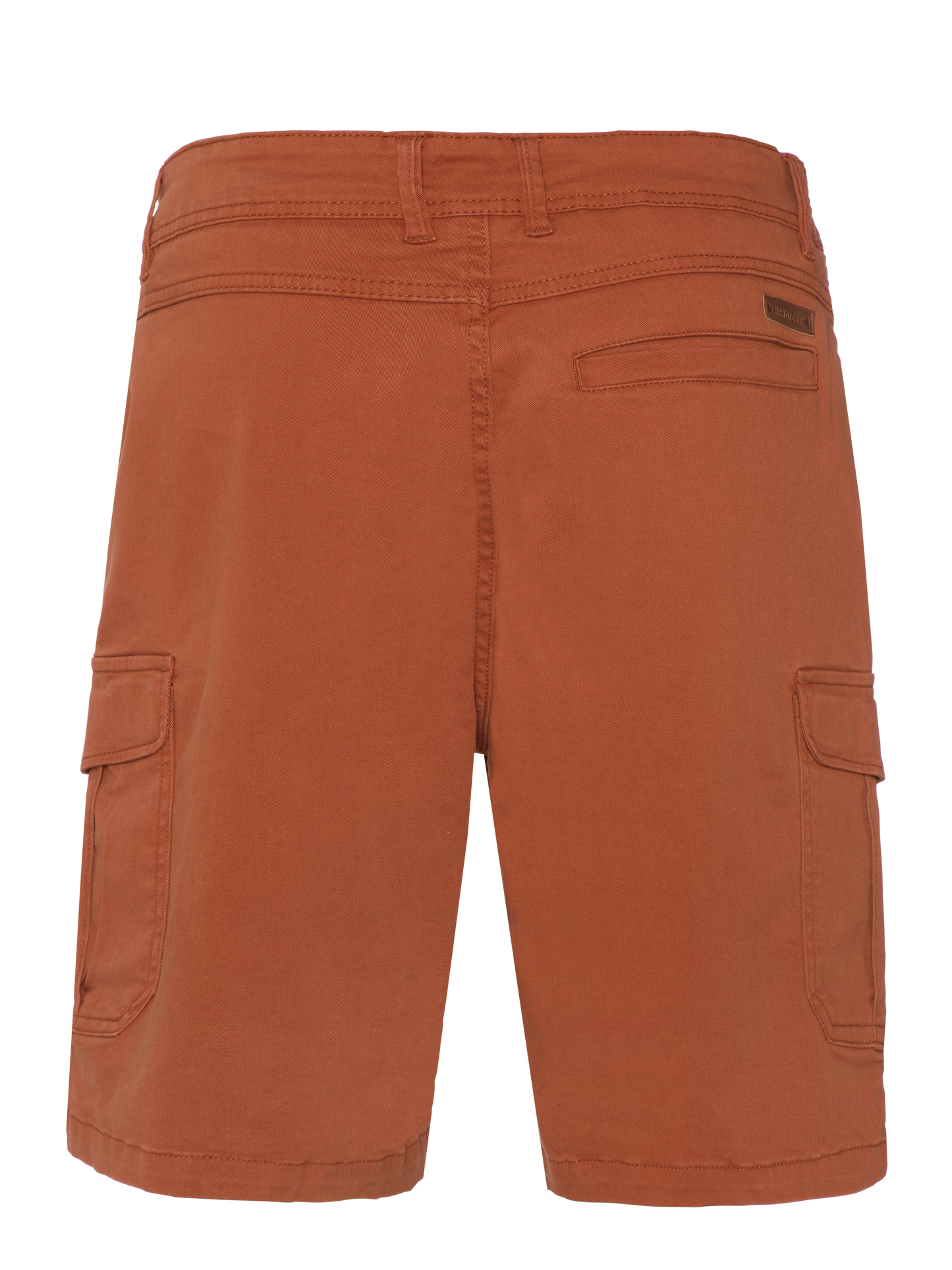 Protest Nytro Walkshorts in Ginger Brown